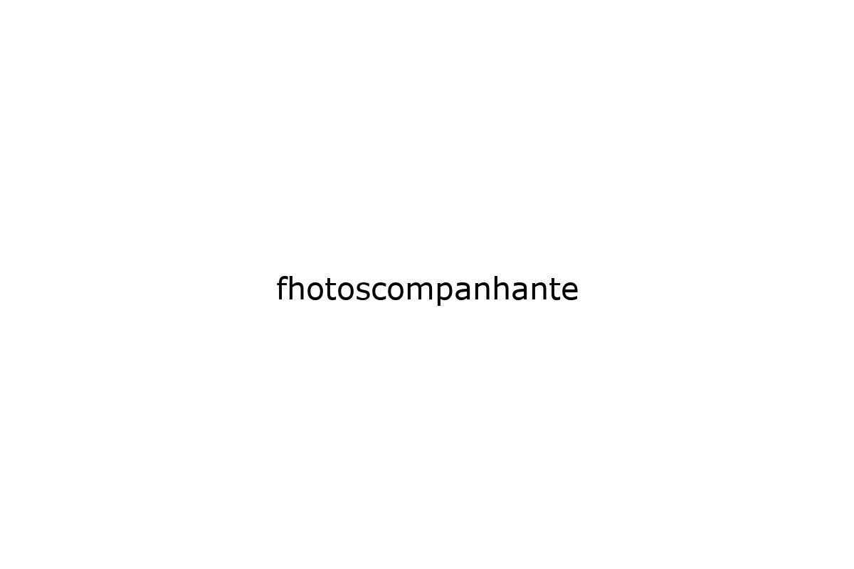 fhotoscompanhante