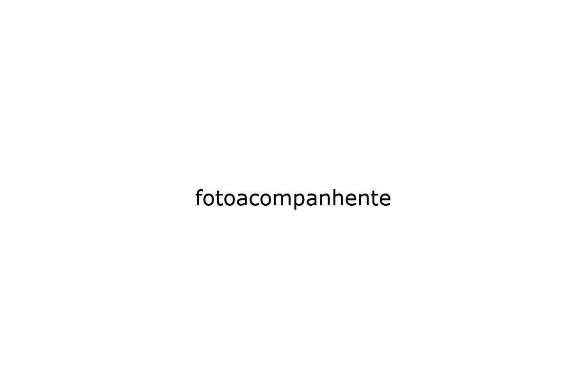 fotoacompanhente