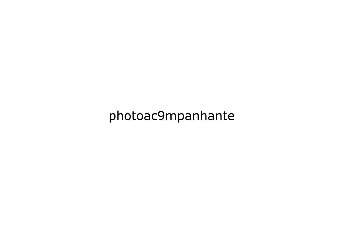 photoac9mpanhante