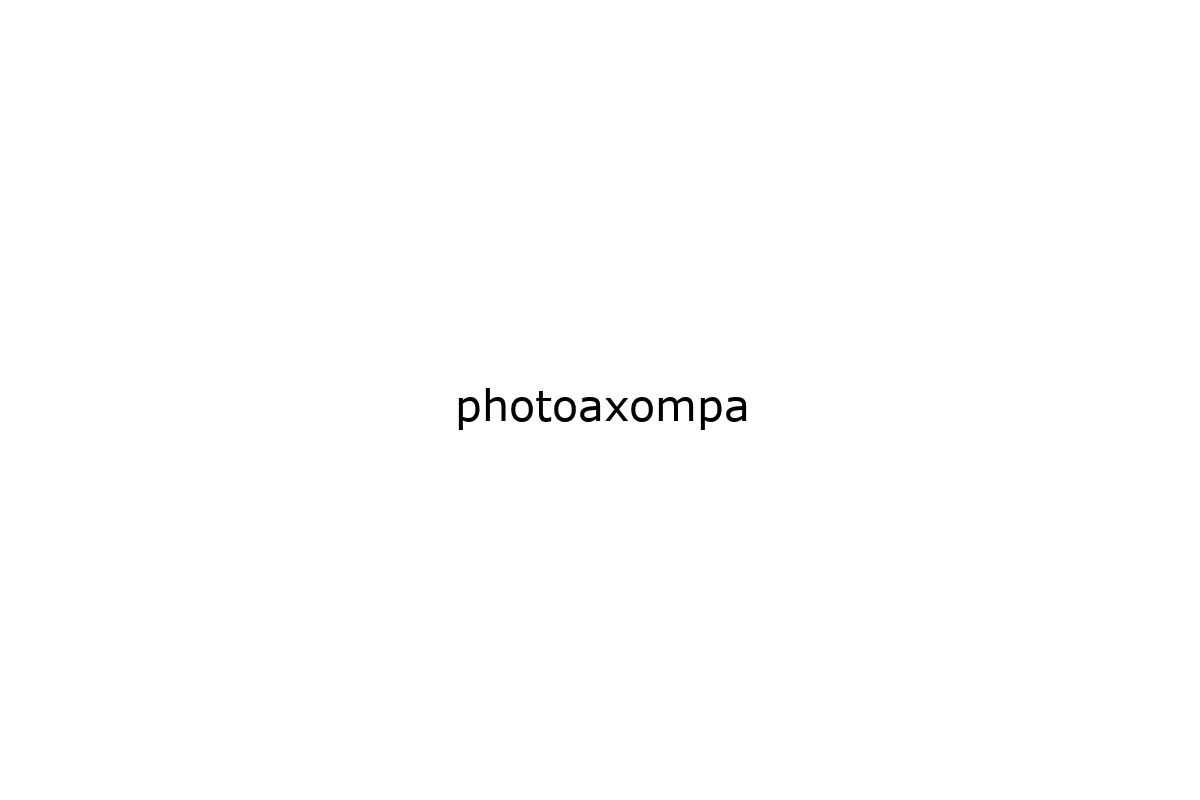 photoaxompa