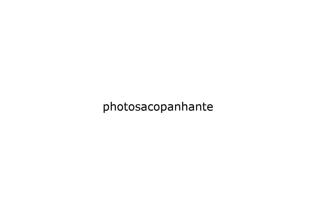 photosacopanhante