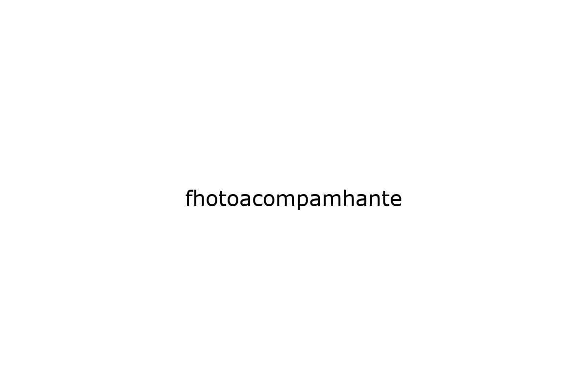 fhotoacompamhante