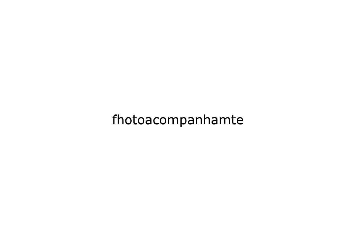 fhotoacompanhamte