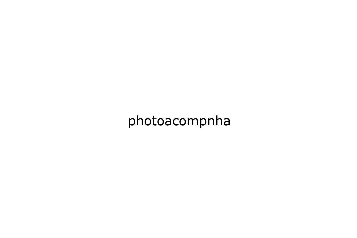 photoacompnha