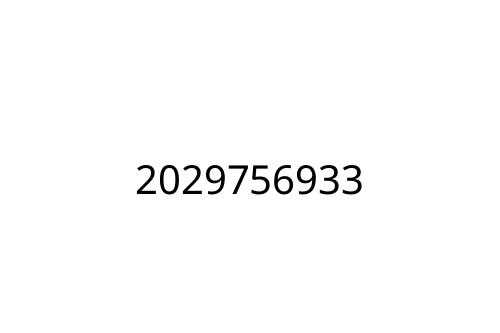 2029756933