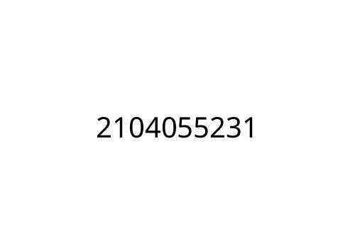 2104055231