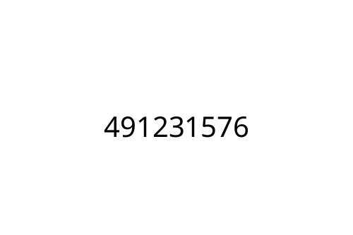 491231576