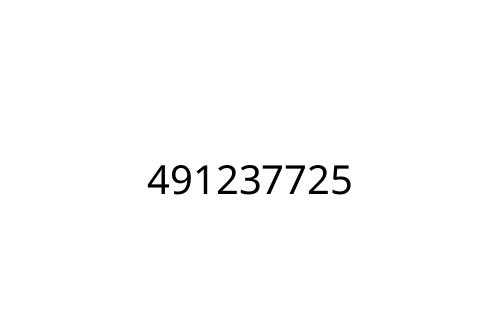 491237725