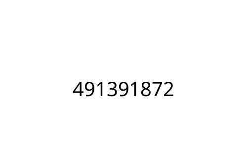 491391872