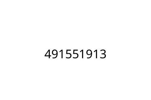 491551913