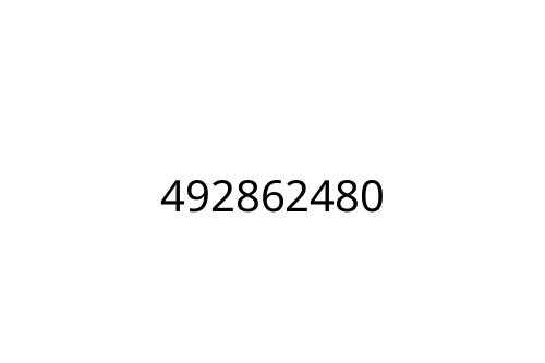 492862480