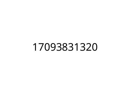 17093831320
