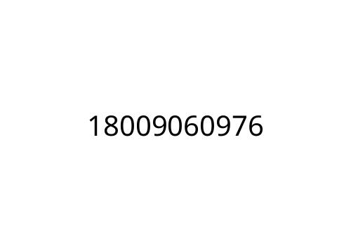 18009060976