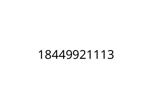 18449921113