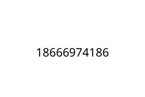 18666974186