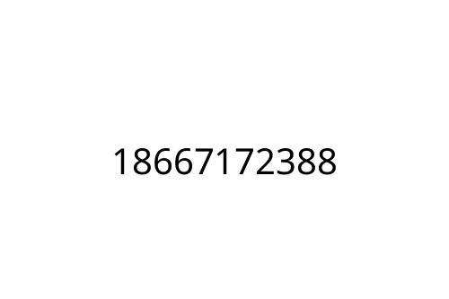 18667172388