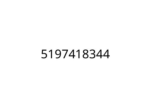 5197418344