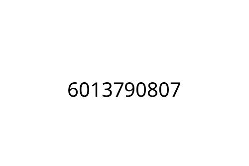 6013790807