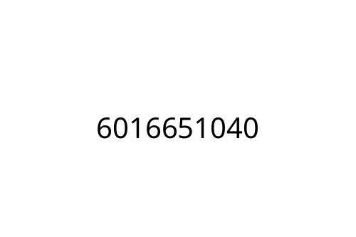 6016651040