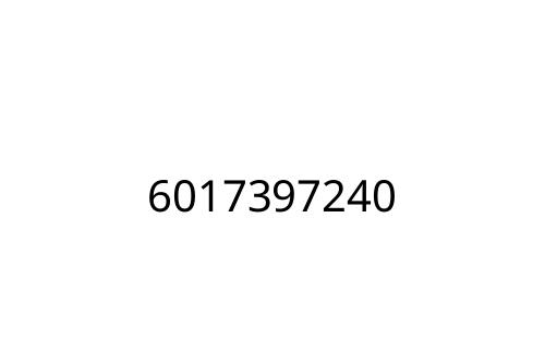 6017397240