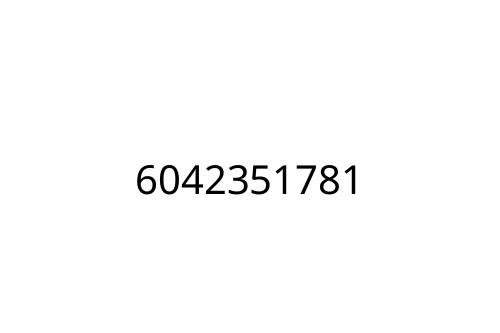 6042351781
