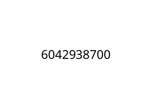 6042938700