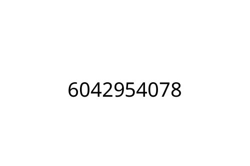 6042954078