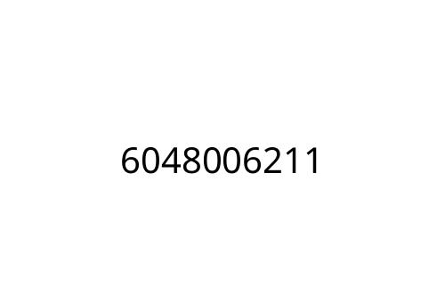 6048006211