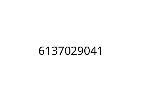 6137029041