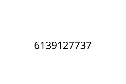 6139127737