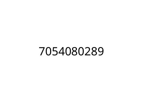 7054080289