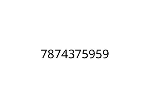 7874375959