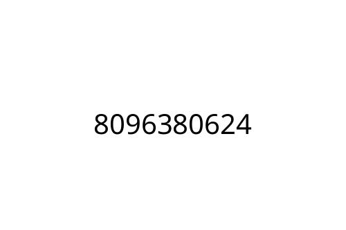 8096380624