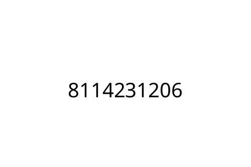 8114231206