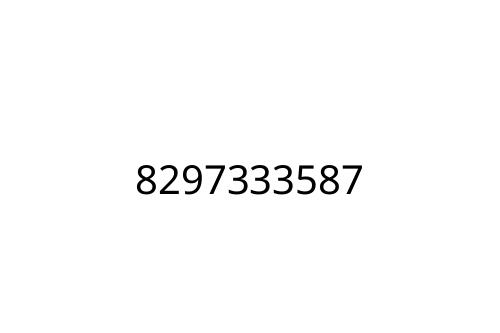 8297333587