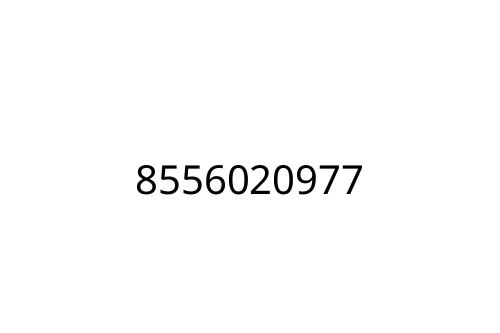 8556020977