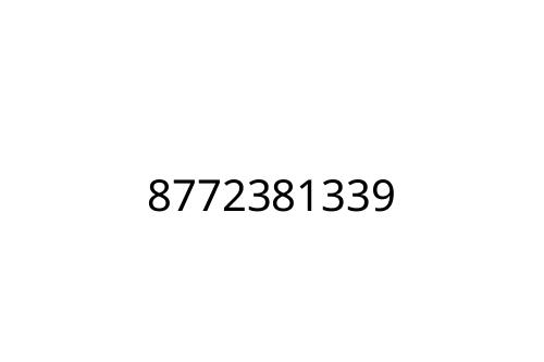 8772381339
