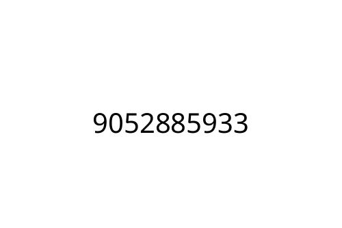 9052885933