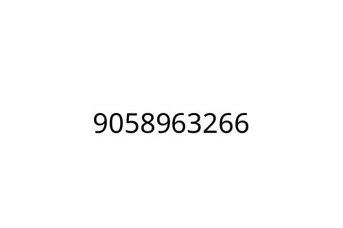 9058963266