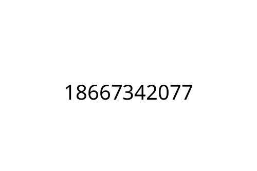 18667342077