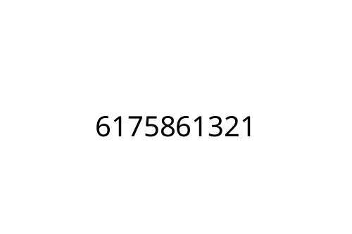 6175861321