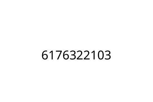 6176322103