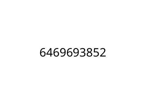 6469693852