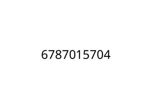 6787015704
