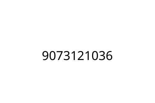 9073121036