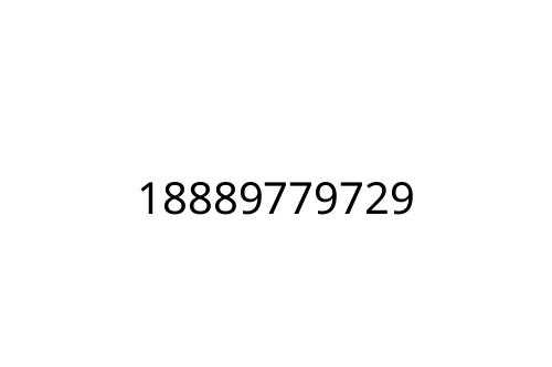 18889779729