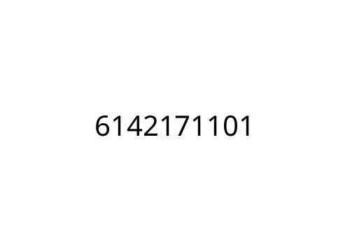 6142171101