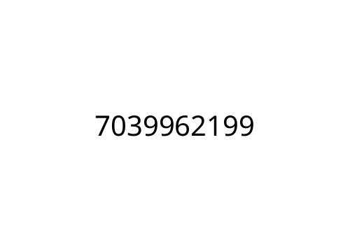 7039962199