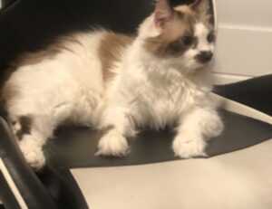 lsit of games munjoff1445