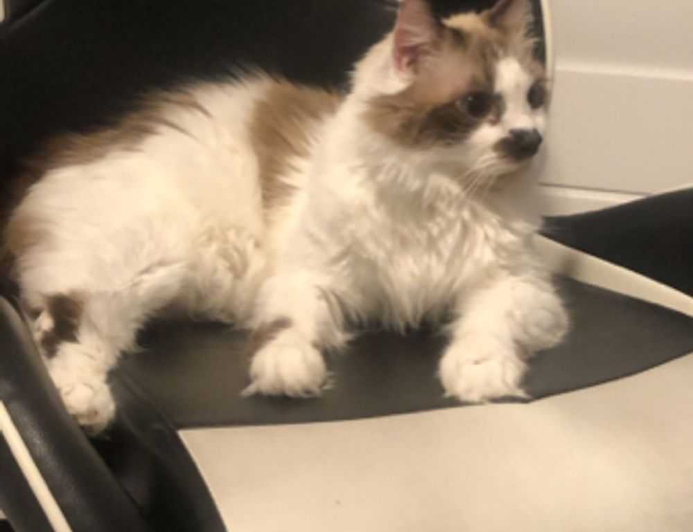 lsit of games munjoff1445